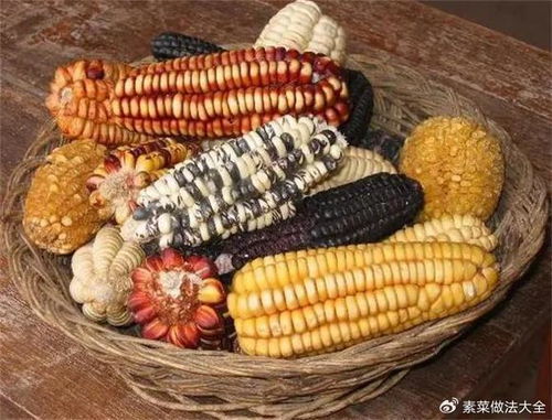 玉米的種類、主要成分及健康益處