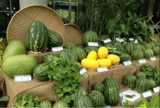 鄉(xiāng)村振興添“才”力！廬陽區(qū)5名“新農(nóng)人”獲評(píng)高級(jí)職稱