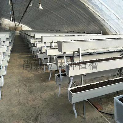 觀光采摘與現(xiàn)代農(nóng)業(yè)種植槽 草莓種植槽、果蔬栽培槽與立體種植槽的批發(fā)優(yōu)勢